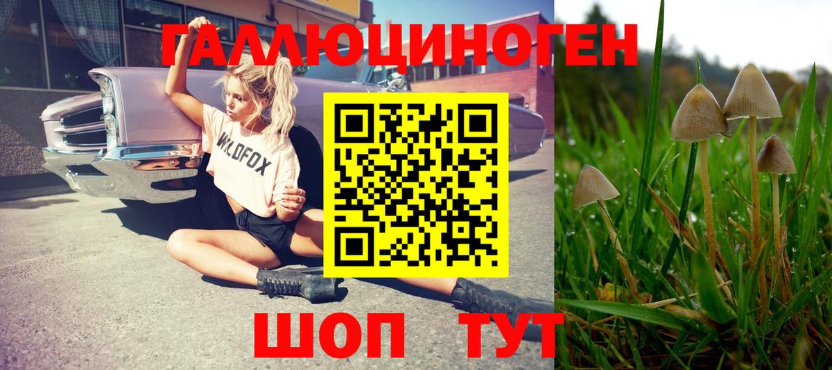 Псилоцибиновые грибы мухоморы  Галлюциногенные грибы Psilocybine cubensis  Вход с VPN  продажа наркотиков  Кимовск 